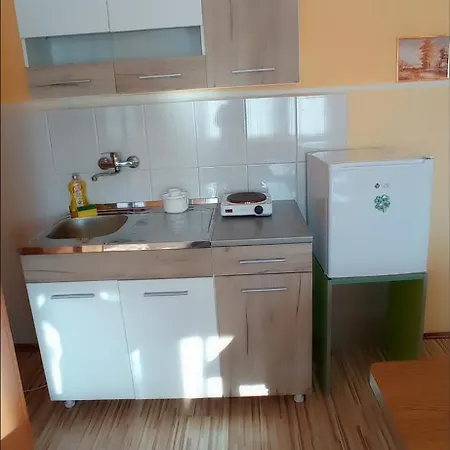 Daire Milisavljevic Soko Banja